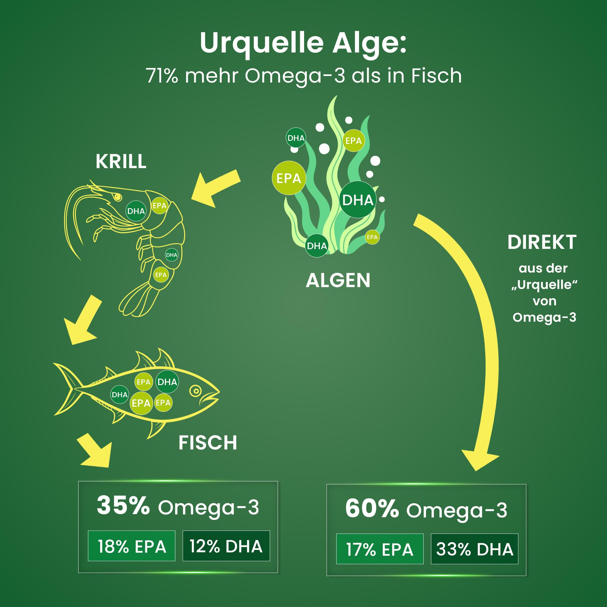 alsiroyal-algen-l-omega-3-3000-l-100-ml-vegan-hochdosiert image 4