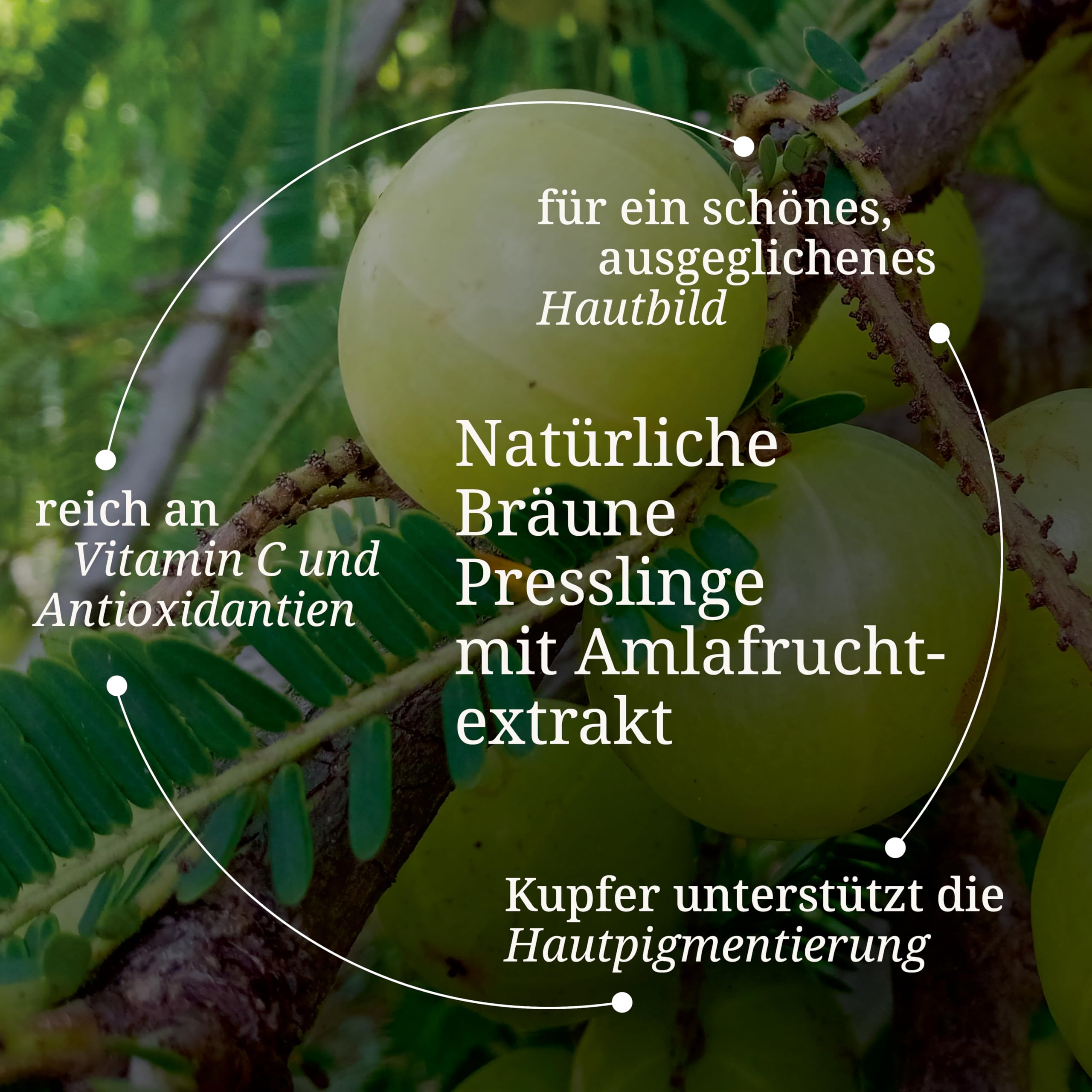b-rbel-drexel-wildrose-nat-rliche-br-une-80-presslinge-vegan image 2