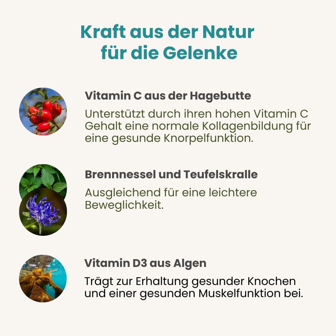 alsiroyal-stoffwechsel-gelenk-elixier-kap-hagebutte-vitamin-d3 image 4