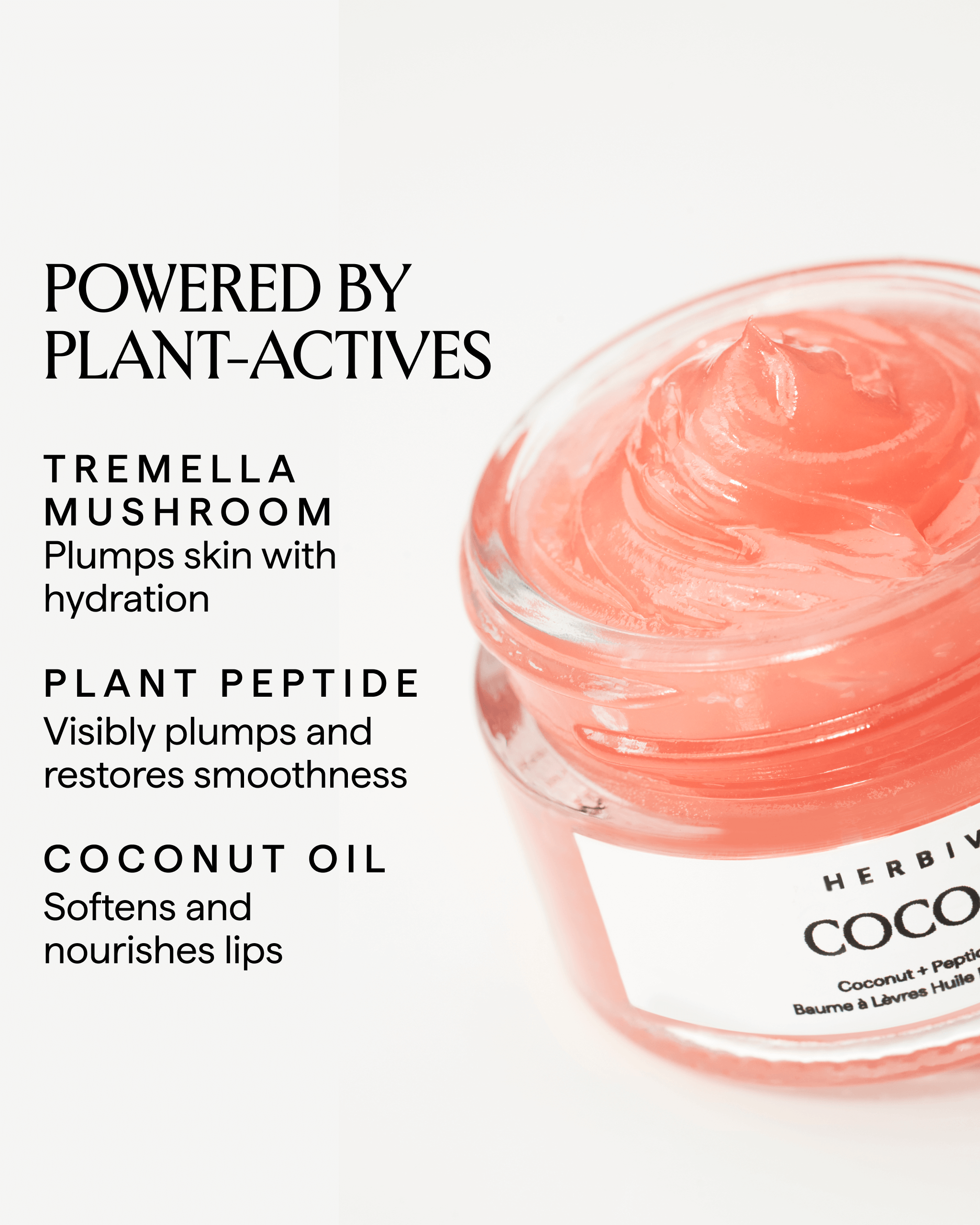 herbivore-coco-rose-coconut-peptide-lippenbalsam-l-kokos image 3