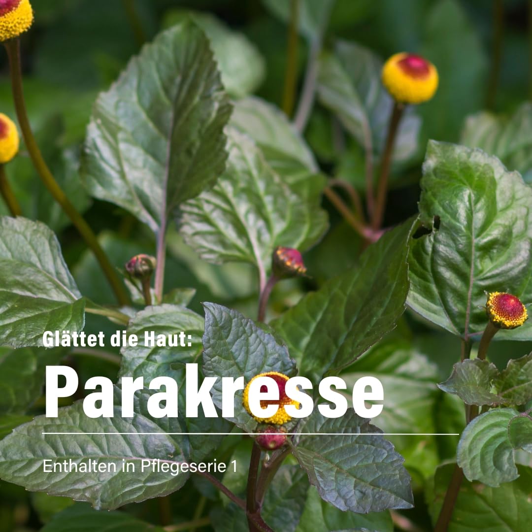 alsiroyal-hyaluron-5-effekt-zistrose-parakresse-augenpflege image 3