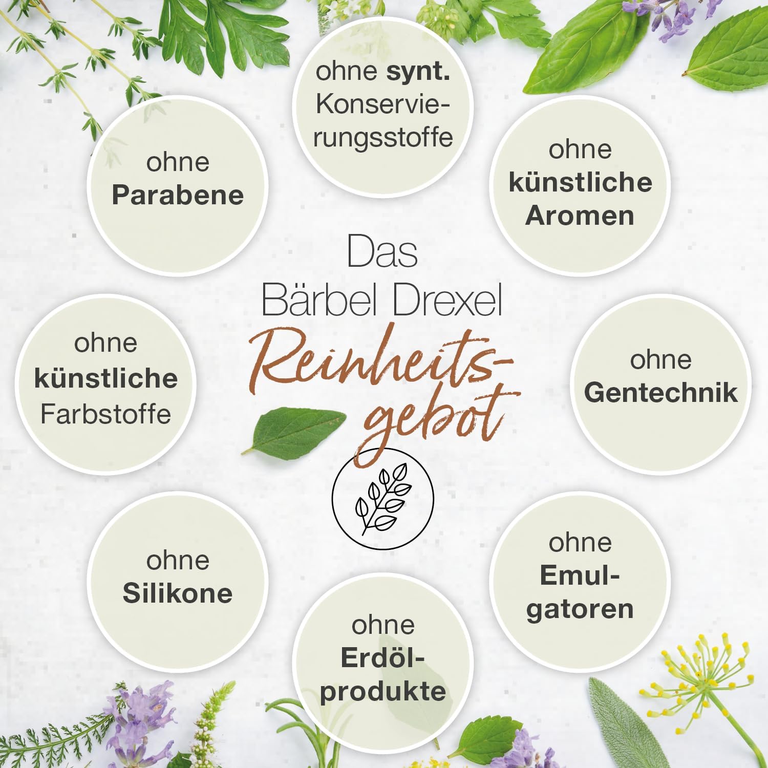b-rbel-drexel-nachtkerze-silicea-nagel-l-10-ml-vegan-kamillen-l image 8