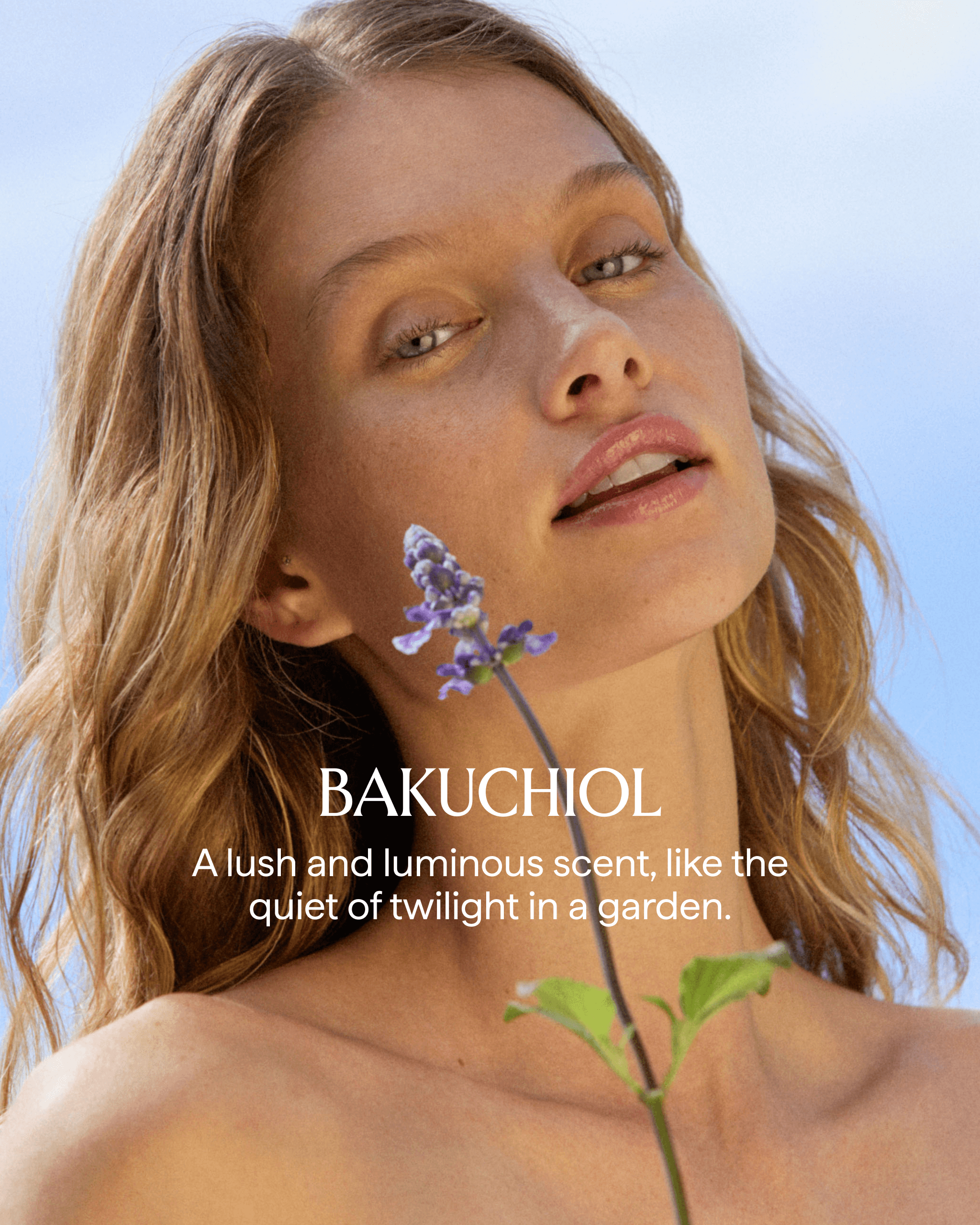 herbivore-bakuchiol-k-rperserum-retinol-alternative-160-ml image 6