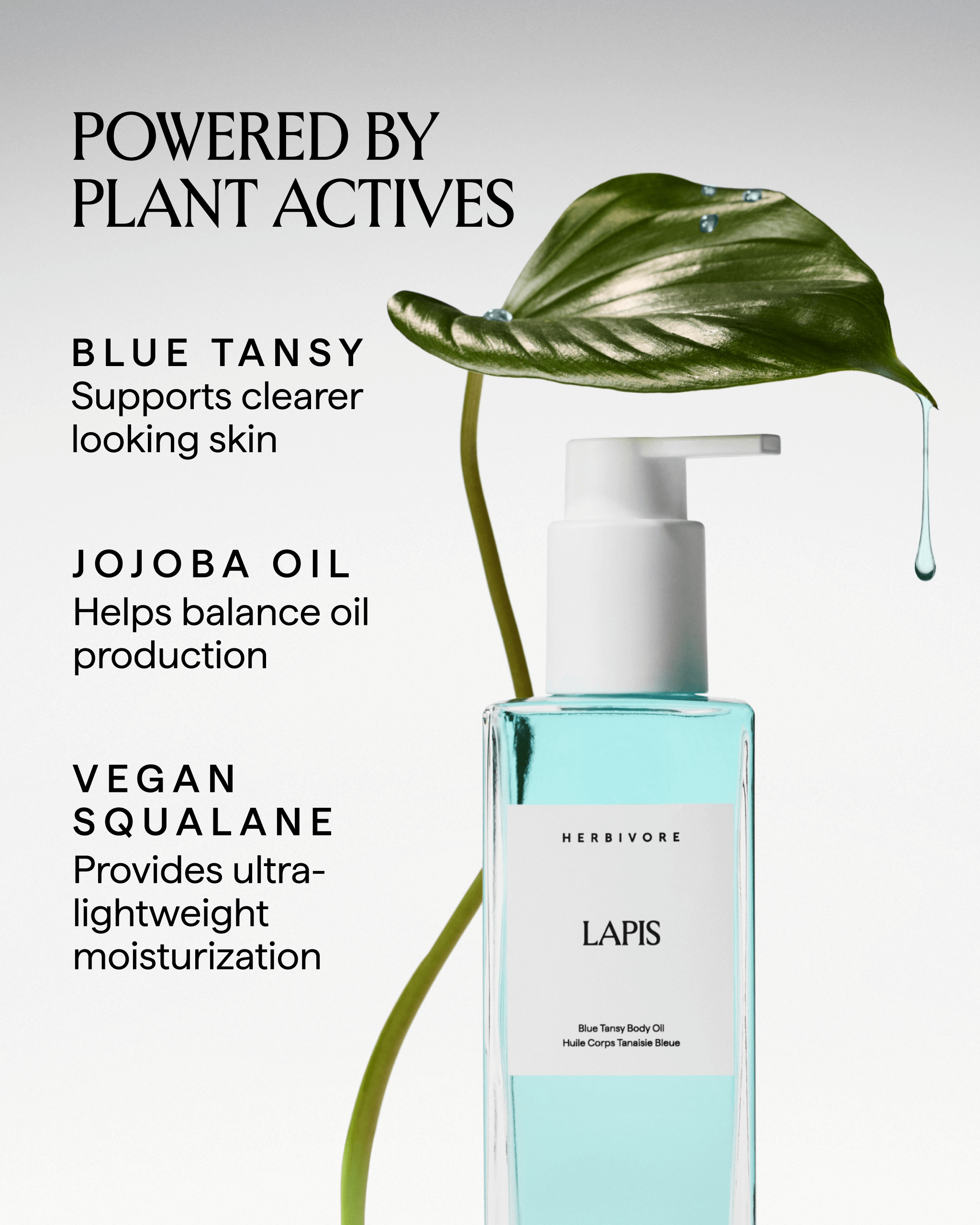 herbivore-lapis-blue-tansy-k-rper-l-160ml-squalane image 3