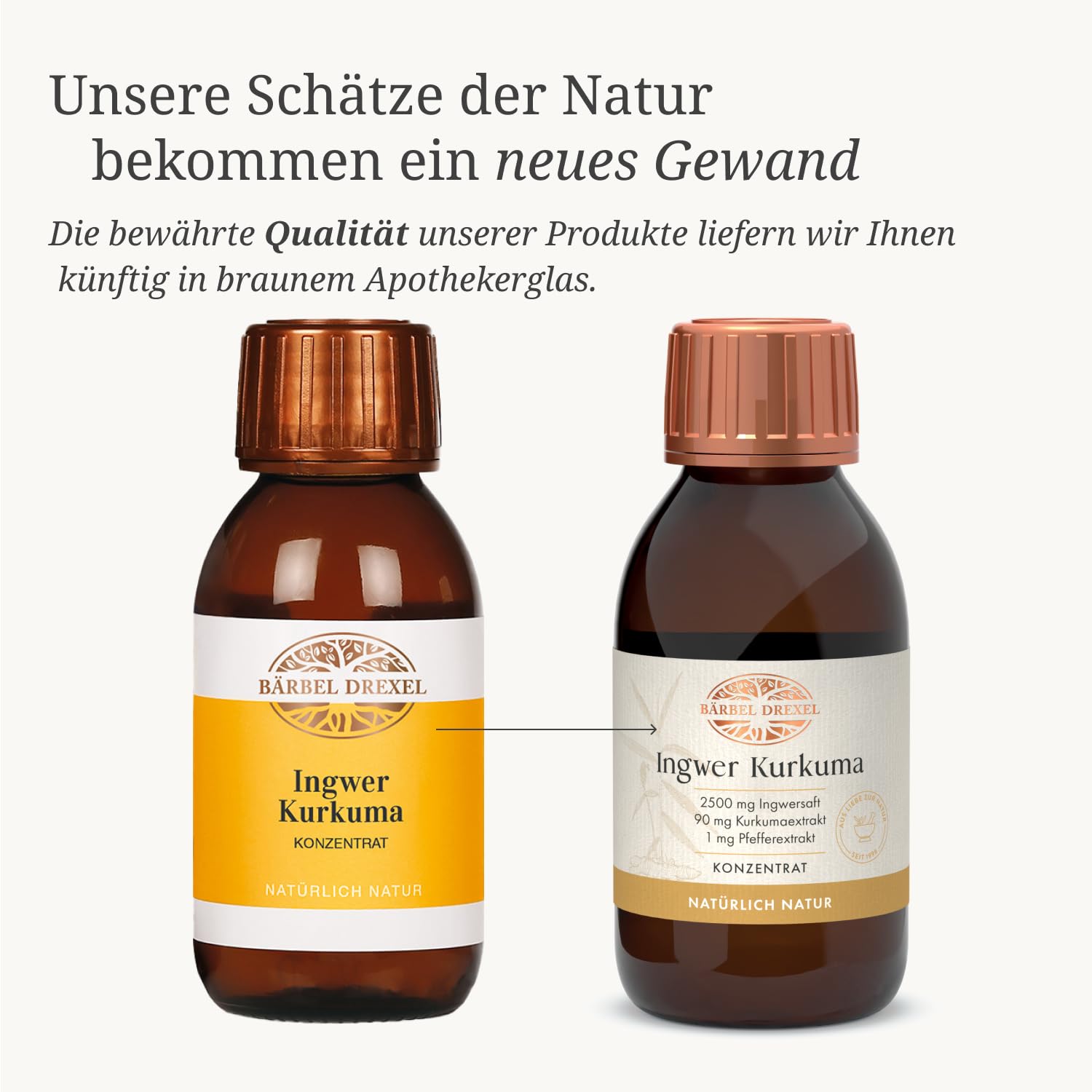 b-rbel-drexel-reine-haut-ingwer-shot-100-ml-kurkuma-acerola image 2