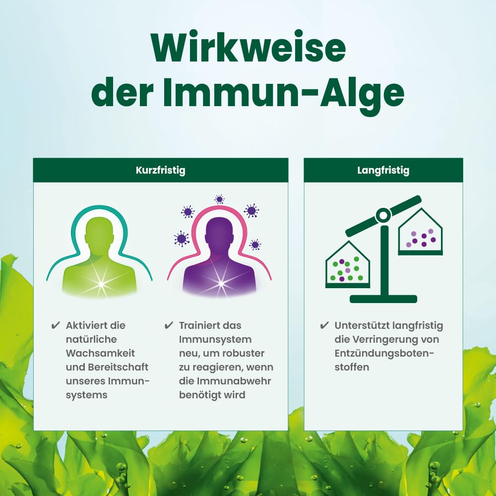 alsiroyal-lebens-elixier-immun-alge-plus-manuka-mgo-350-sticks-40-sticks-zink image 6